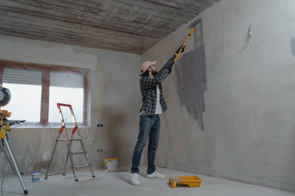 Renovating on a Budget: How Decorative Paint and Plaster Can Refresh Your Home