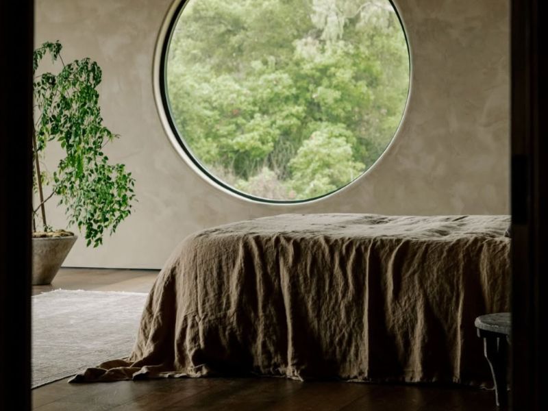 Biophilic Design Natural Lime Plaster, Venetian Plaster & Lime Wash Ideas