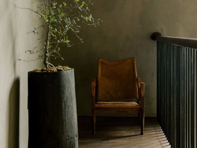 Biophilic Interior Design
